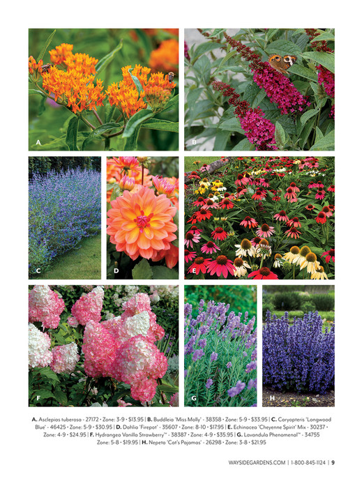 Wayside Gardens - Wayise Gardens Spring 2023 Catalog - Page 8-9