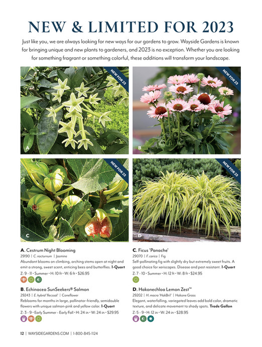 Wayside Gardens - Wayise Gardens Spring 2023 Catalog