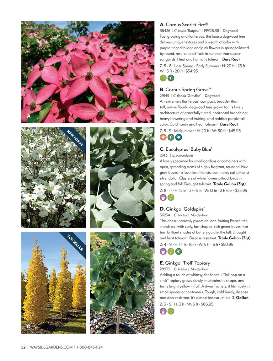 Wayside Gardens - Wayise Gardens Spring 2023 Catalog