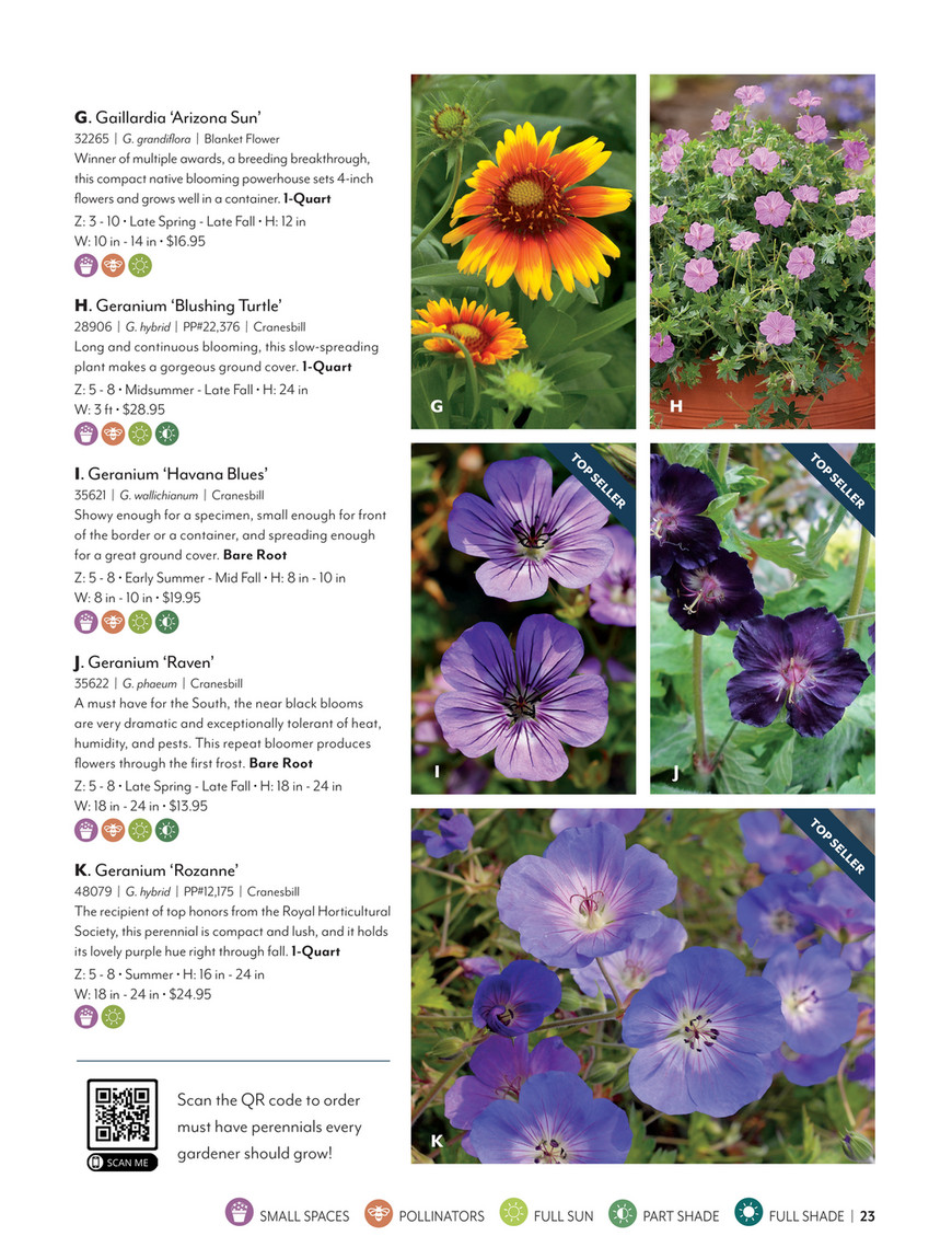 Wayside Gardens - Wayise Gardens Spring 2023 Catalog - Geranium Raven