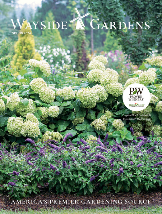 Wayside Gardens - Wayside Gardens 2024 Spring Catalog - Page 1